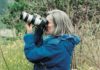 Wildlife Photographer