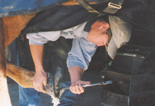 Farrier