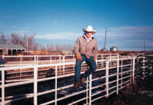 Cattle Feedlot Manager